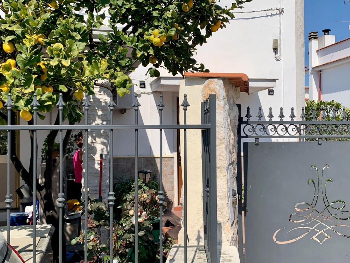 B&B Casa Biscotti Пескичи Экстерьер фото